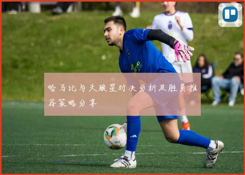 哈马比与天狼星对决分析及胜负推荐策略分享